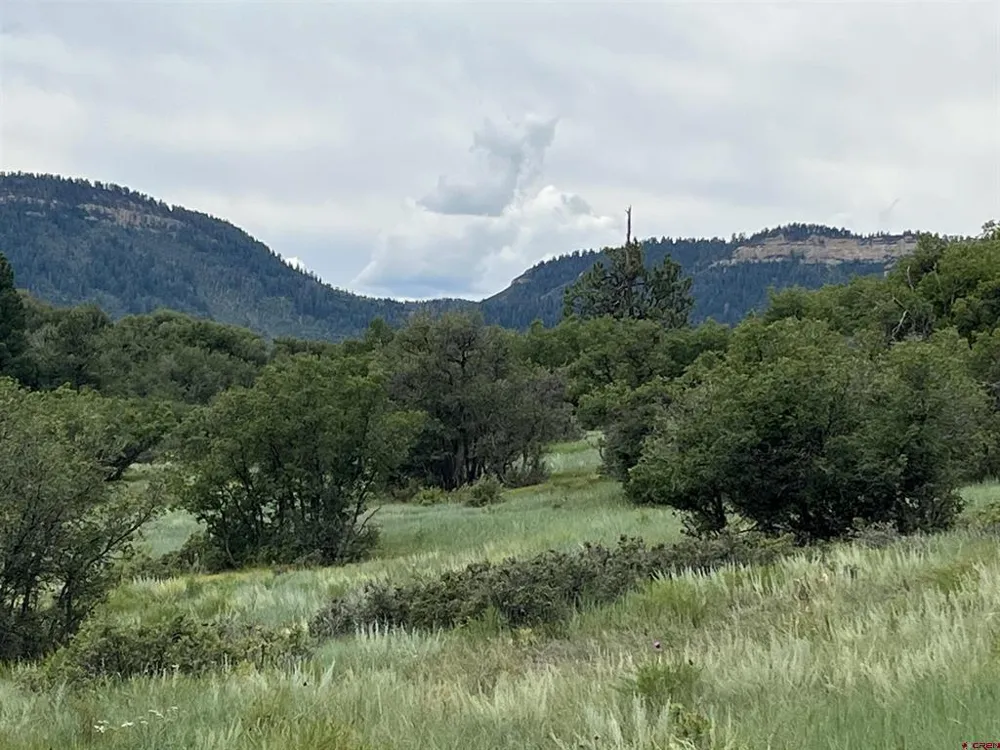 1240 Crowley Drive Chromo, CO 81128