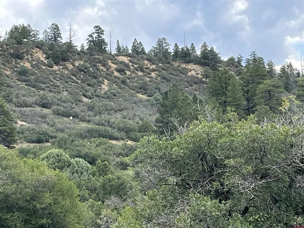 1240 Crowley Drive Chromo, CO 81128