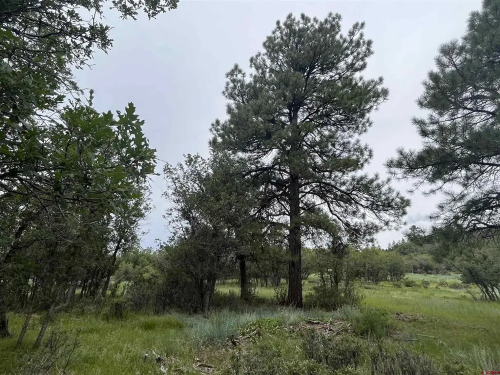 1172 Crowley Drive Chromo, CO 81128