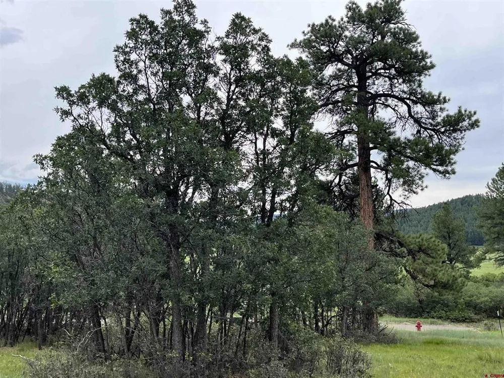 1172 Crowley Drive Chromo, CO 81128