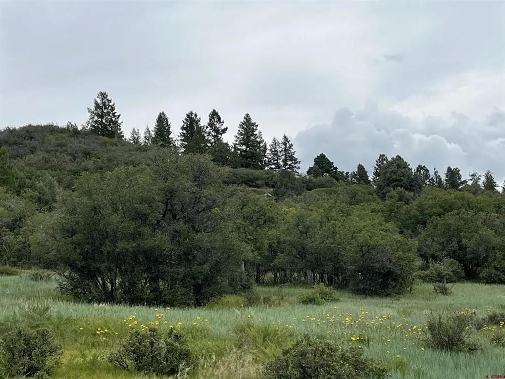1172 Crowley Drive Chromo, CO 81128
