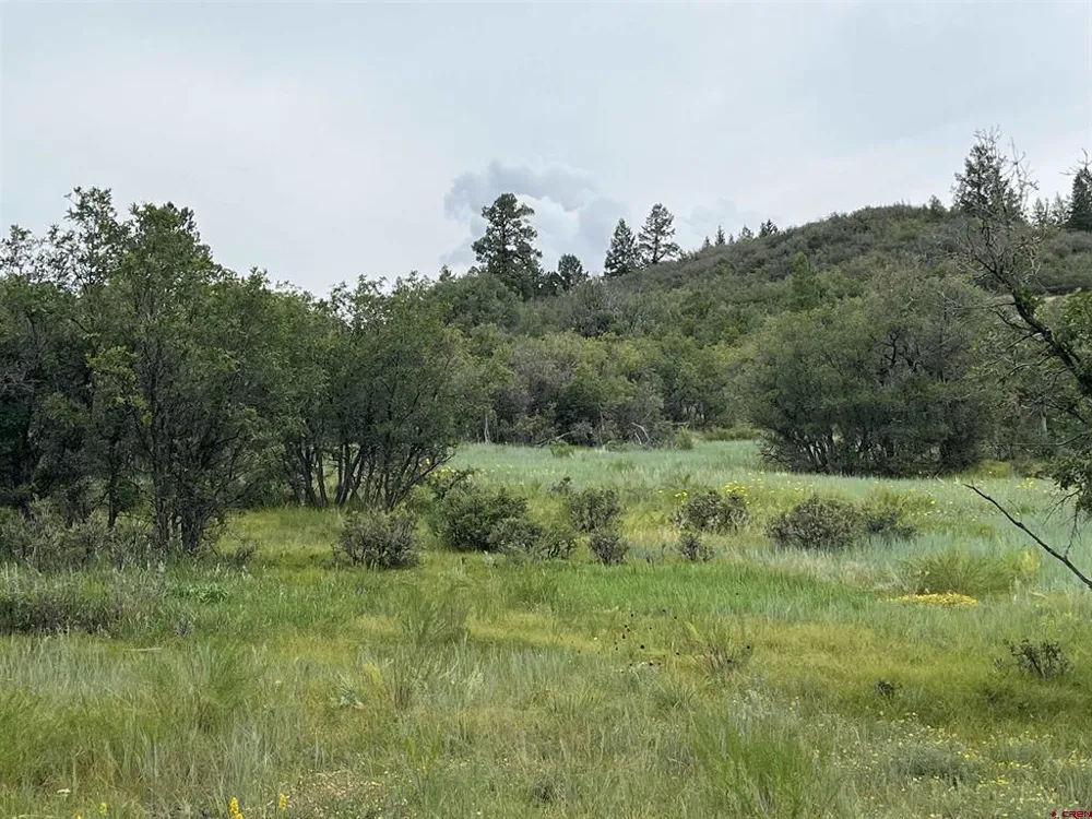 1172 Crowley Drive Chromo, CO 81128