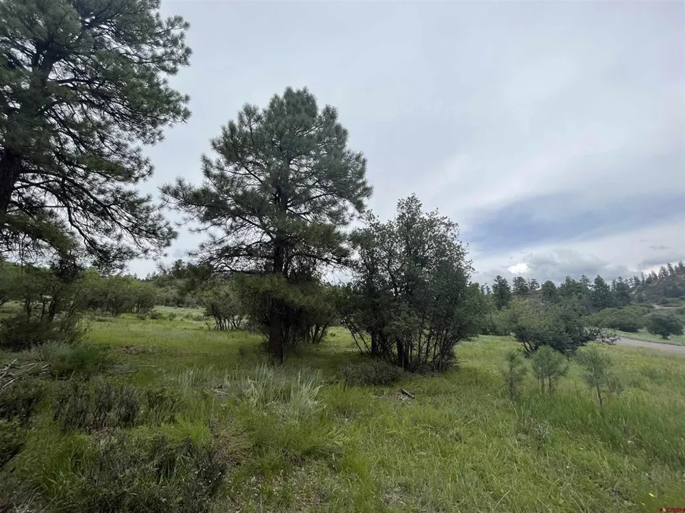 1172 Crowley Drive Chromo, CO 81128