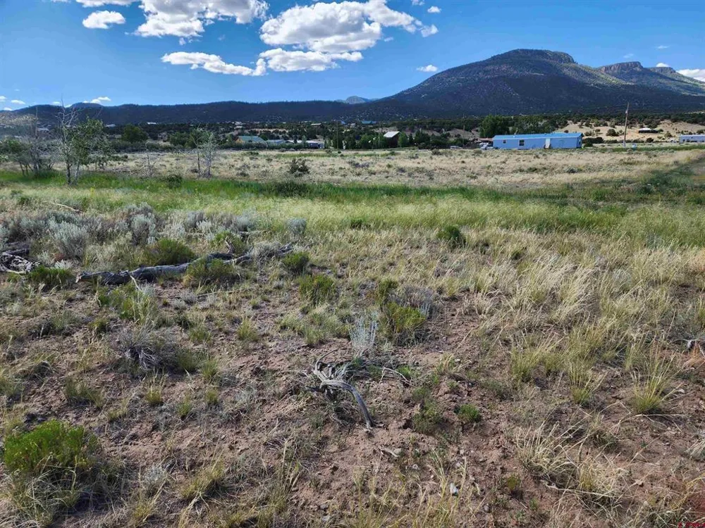 157 Red Feather Rd South Fork, CO 81154