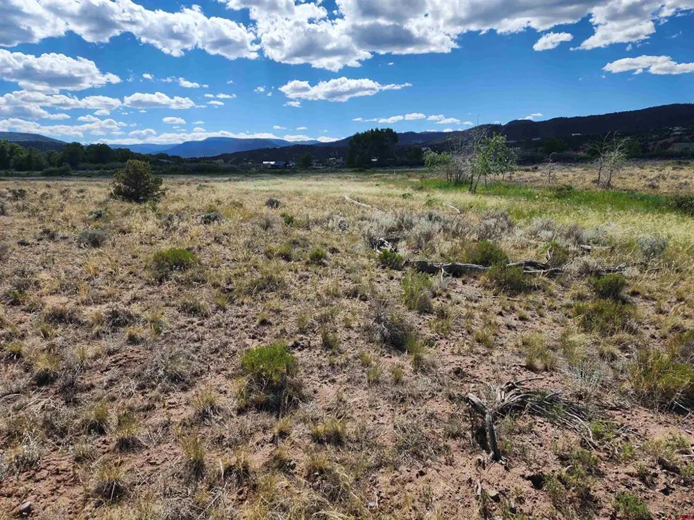 157 Red Feather Rd South Fork, CO 81154