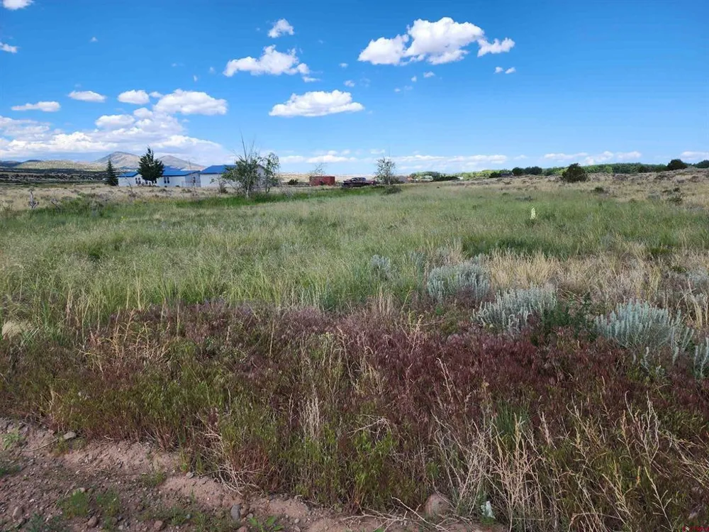 157 Red Feather Rd South Fork, CO 81154