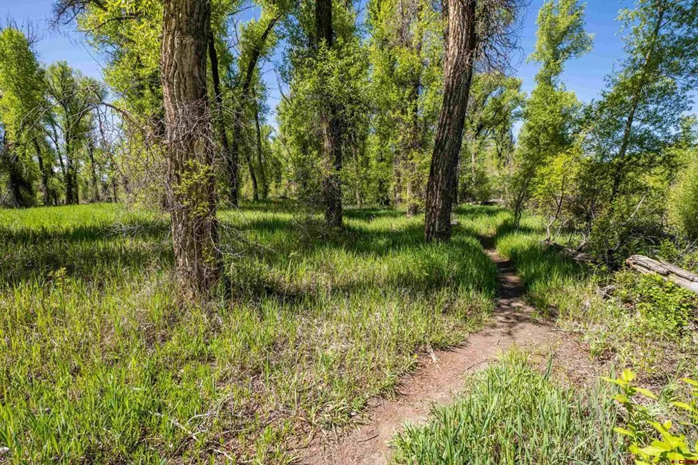 255 Riverwalk Drive Gunnison, CO 81230