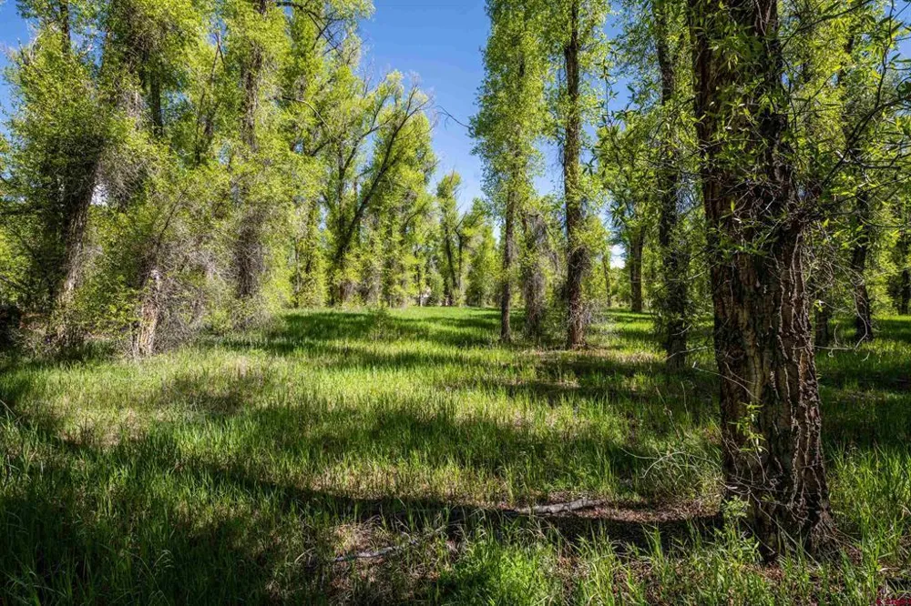 255 Riverwalk Drive Gunnison, CO 81230
