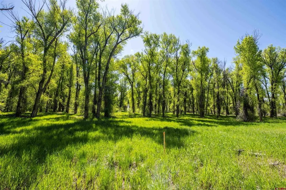 255 Riverwalk Drive Gunnison, CO 81230