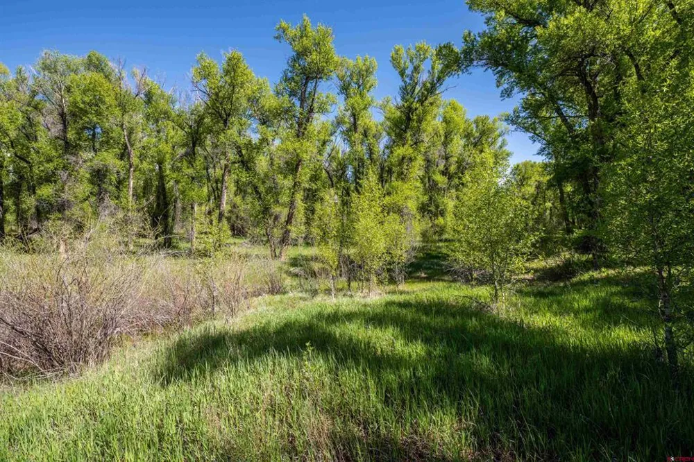255 Riverwalk Drive Gunnison, CO 81230