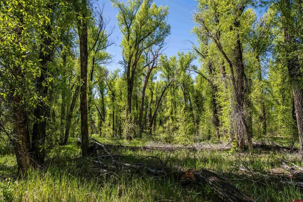 255 Riverwalk Drive Gunnison, CO 81230