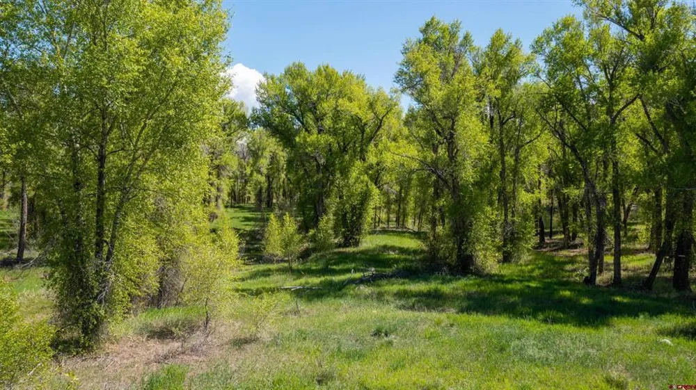 255 Riverwalk Drive Gunnison, CO 81230