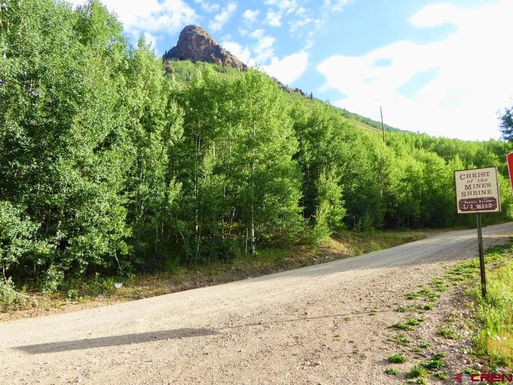 County Road 6 Silverton, CO 81433