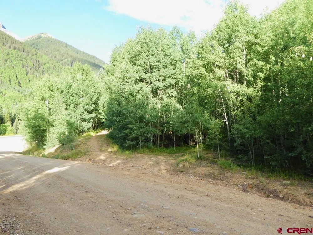 County Road 6 Silverton, CO 81433