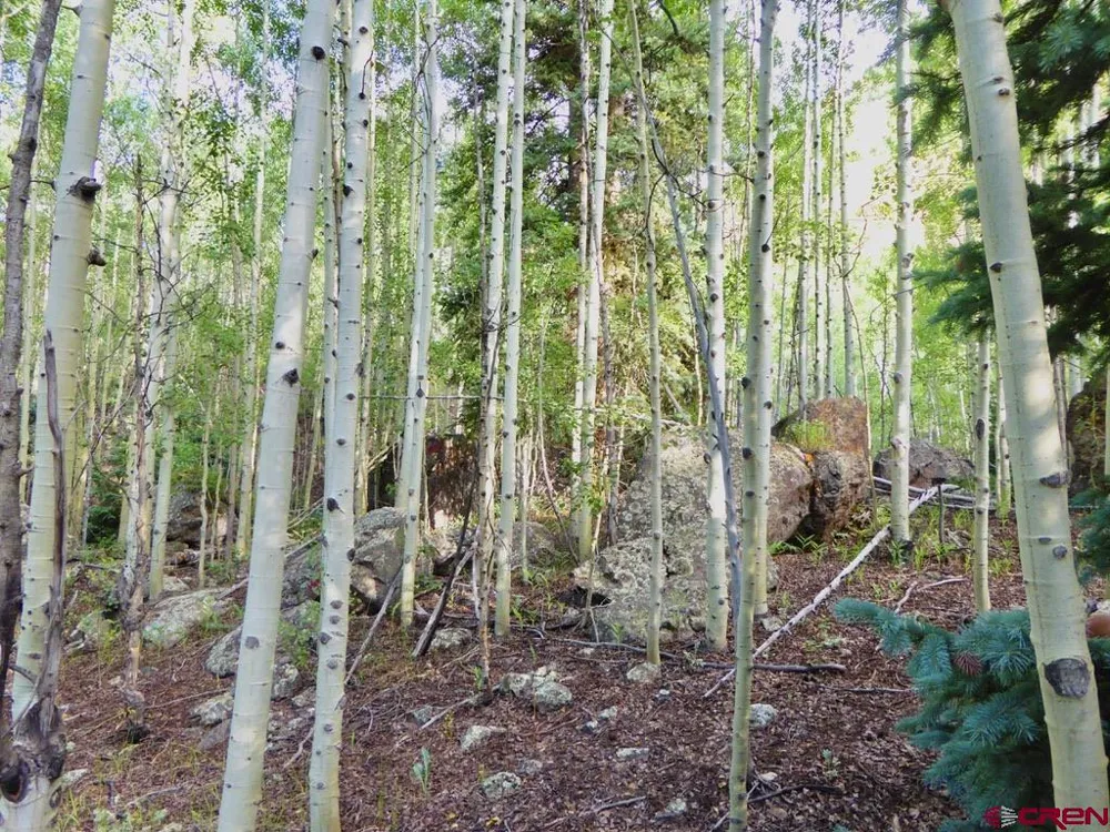 County Road 6 Silverton, CO 81433