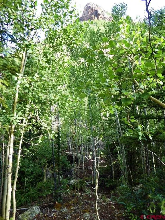 County Road 6 Silverton, CO 81433
