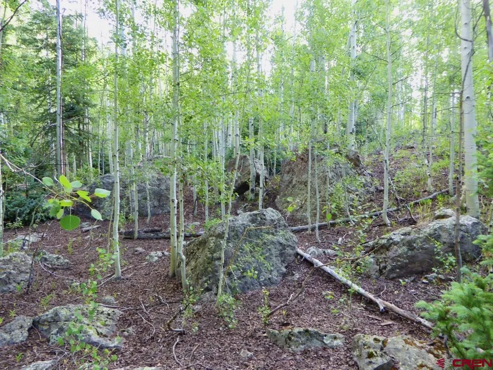 County Road 6 Silverton, CO 81433