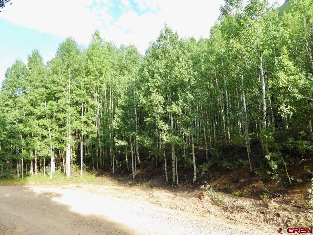 County Road 6 Silverton, CO 81433