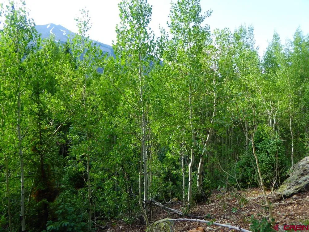 County Road 6 Silverton, CO 81433