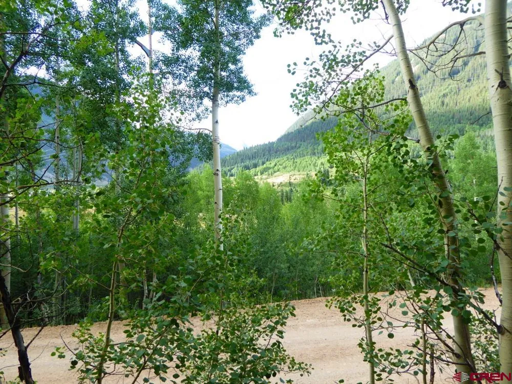 County Road 6 Silverton, CO 81433