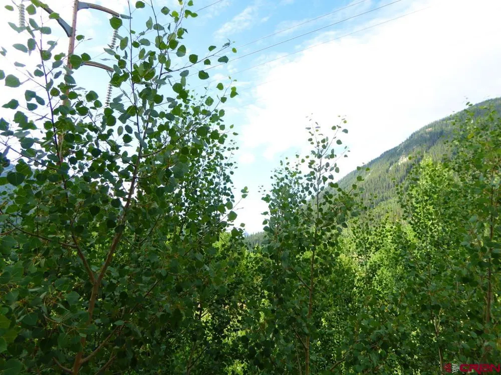 County Road 6 Silverton, CO 81433
