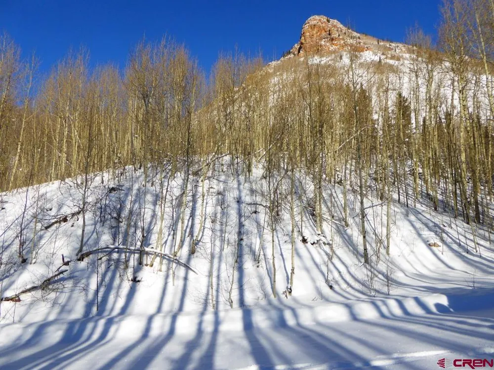 County Road 6 Silverton, CO 81433