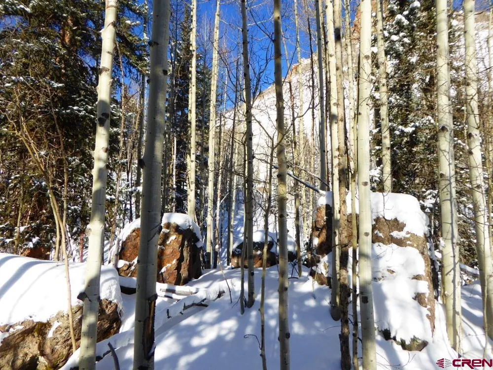 County Road 6 Silverton, CO 81433