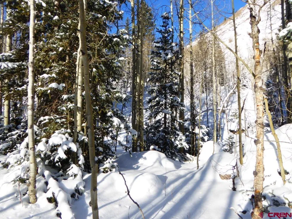 County Road 6 Silverton, CO 81433