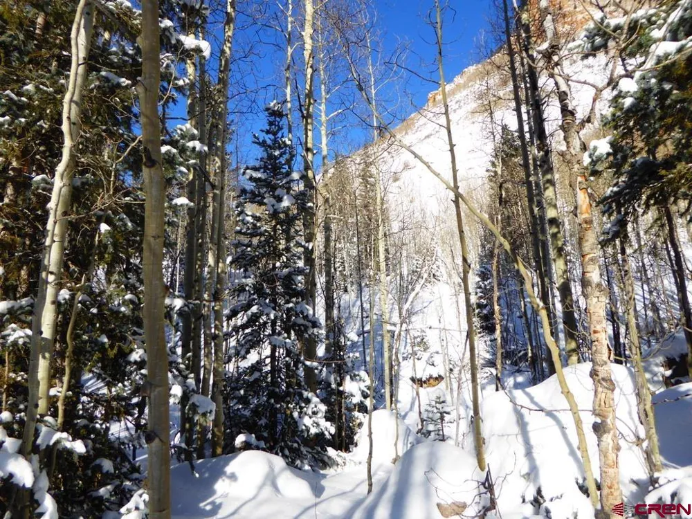 County Road 6 Silverton, CO 81433