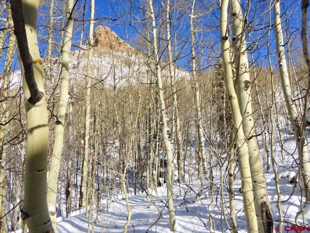 County Road 6 Silverton, CO 81433