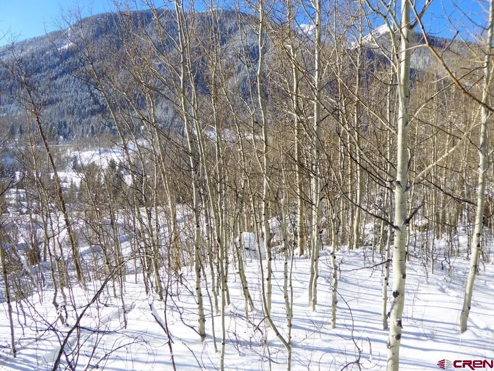 County Road 6 Silverton, CO 81433