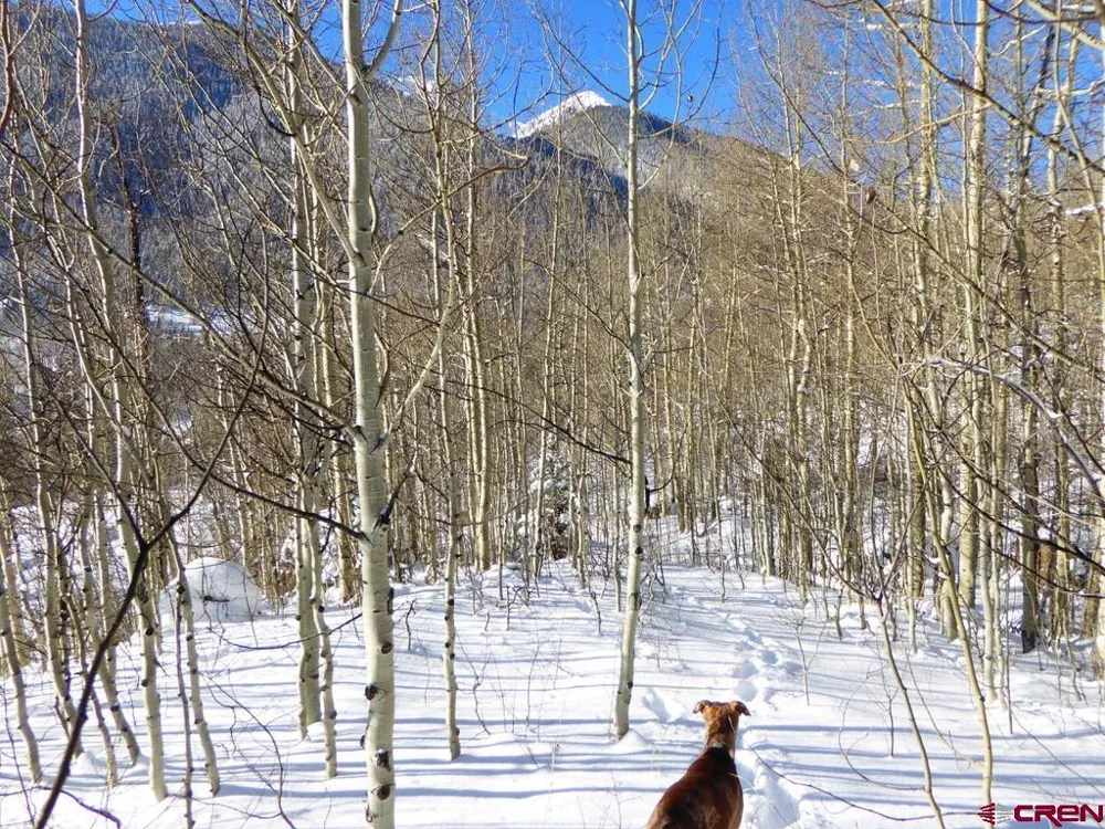 County Road 6 Silverton, CO 81433