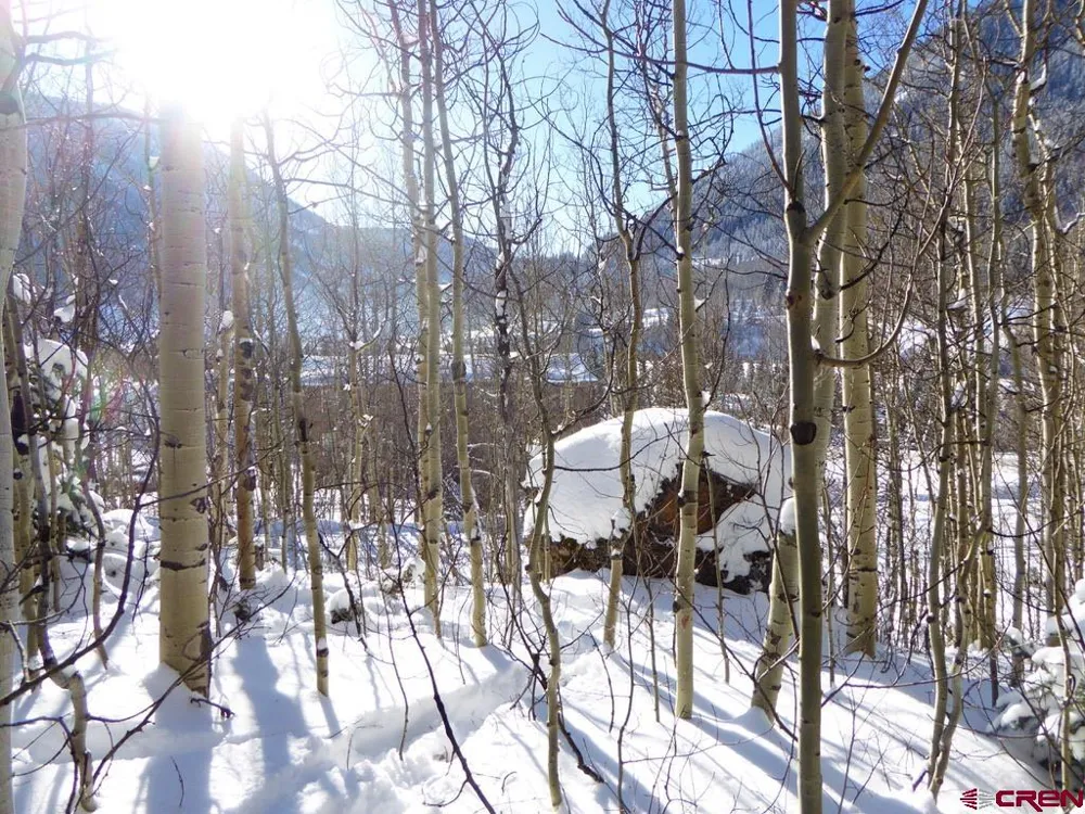 County Road 6 Silverton, CO 81433