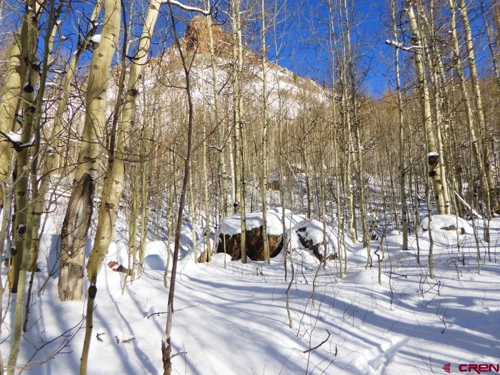 County Road 6 Silverton, CO 81433