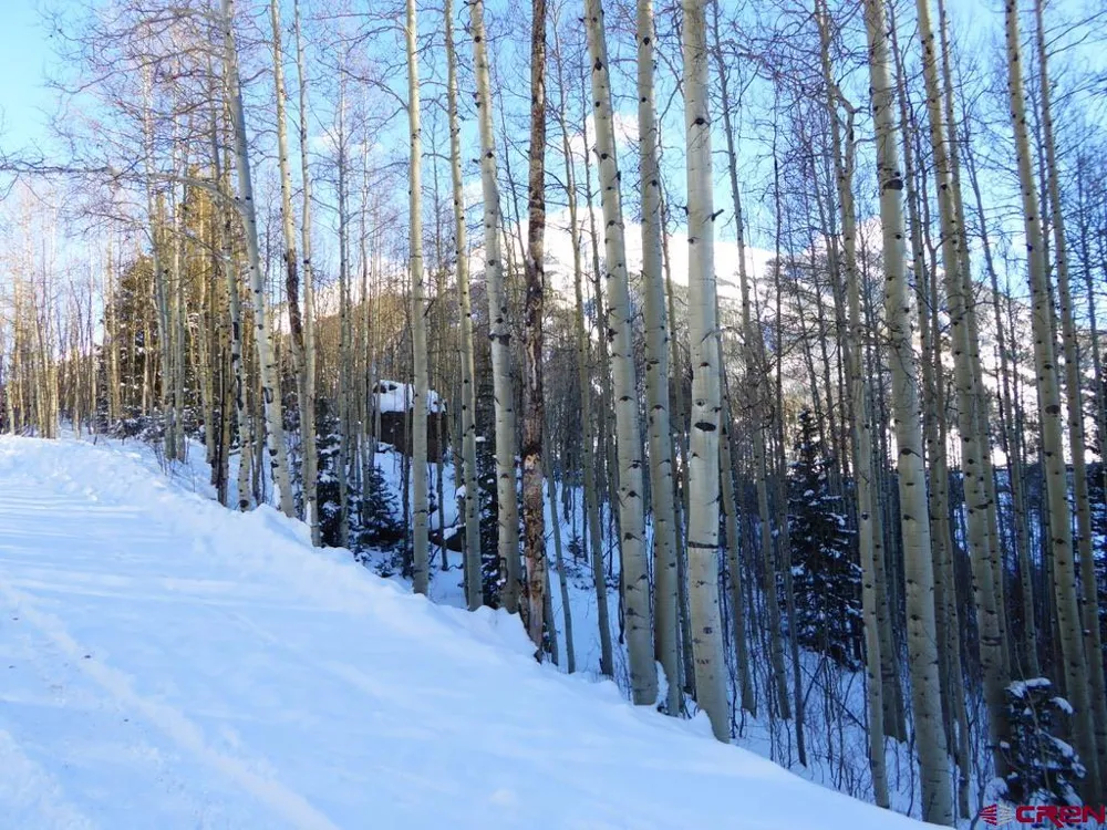County Road 6 Silverton, CO 81433