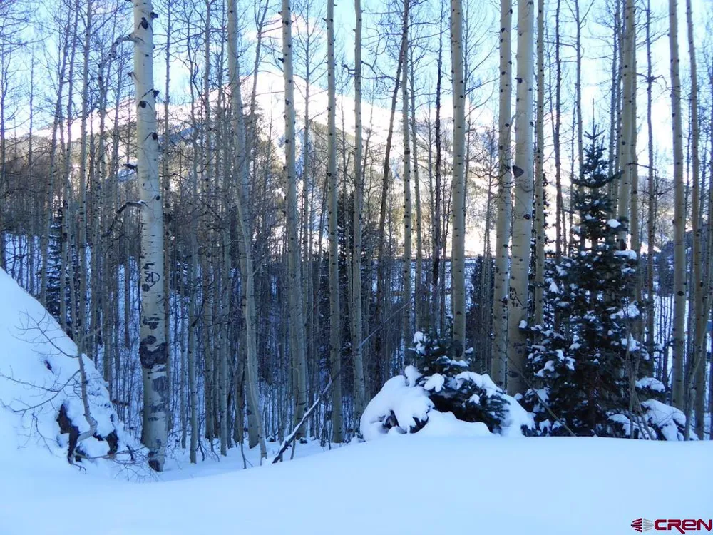 County Road 6 Silverton, CO 81433