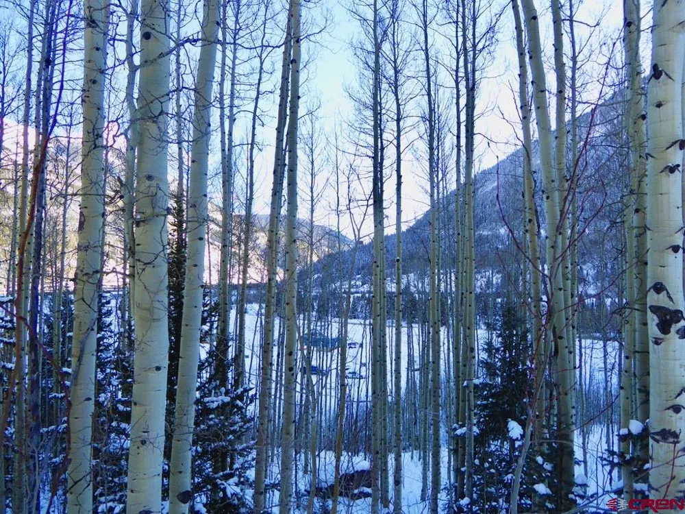 County Road 6 Silverton, CO 81433