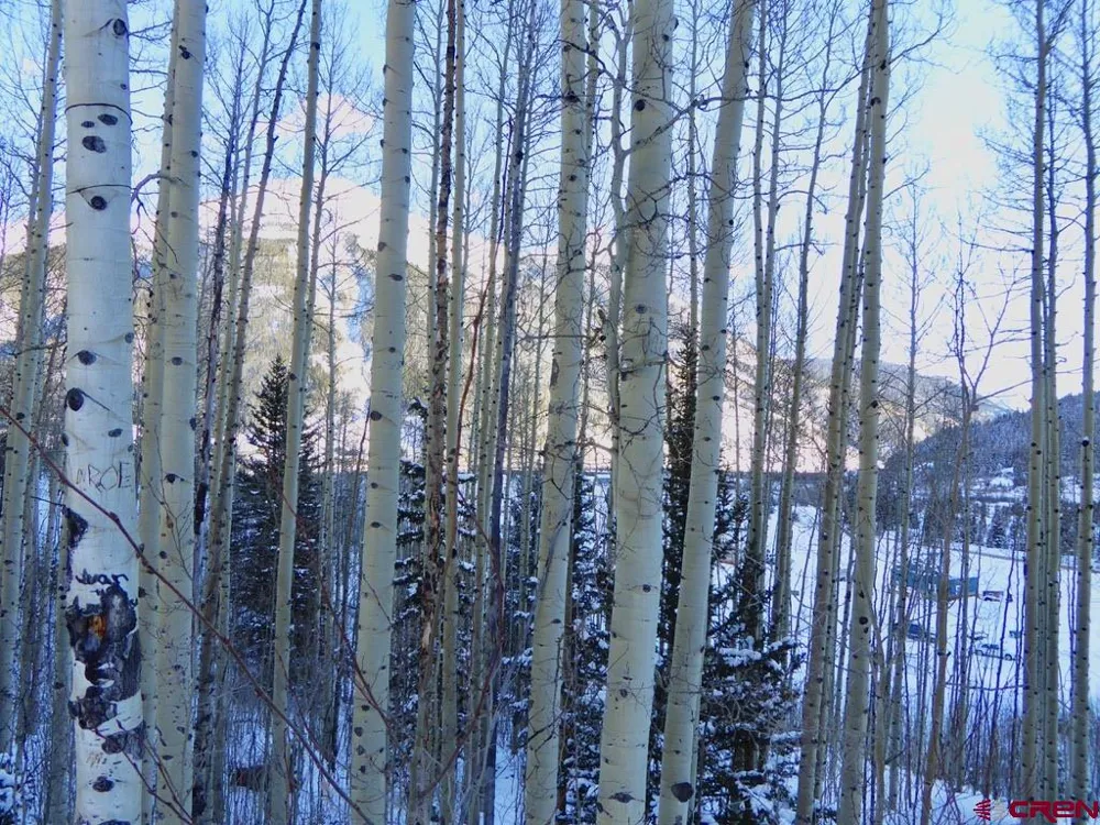 County Road 6 Silverton, CO 81433