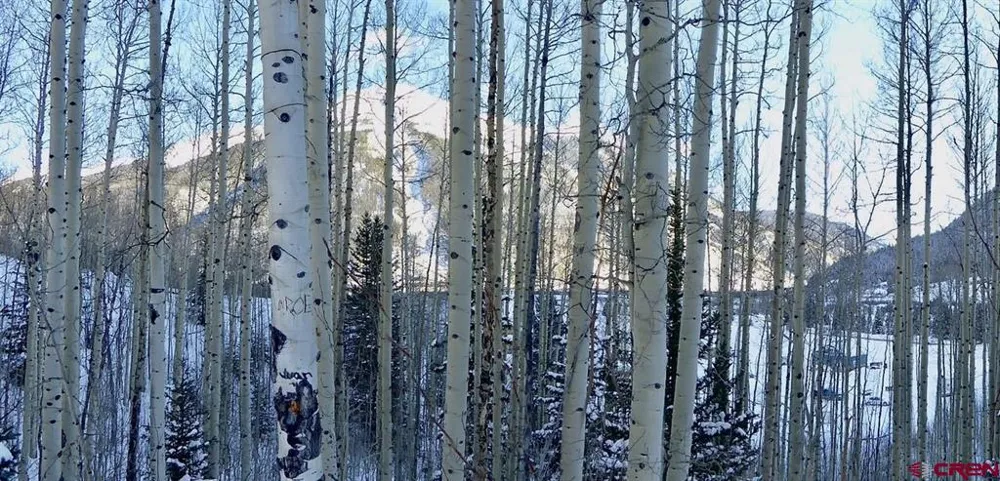 County Road 6 Silverton, CO 81433