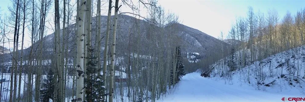 County Road 6 Silverton, CO 81433
