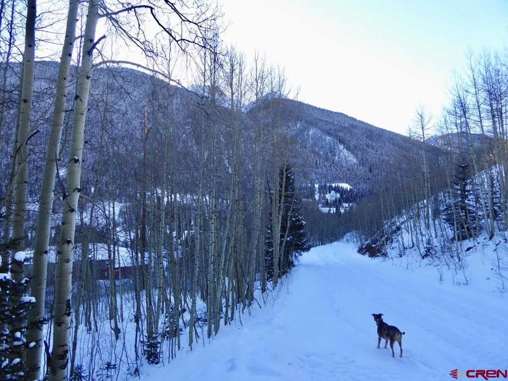 County Road 6 Silverton, CO 81433