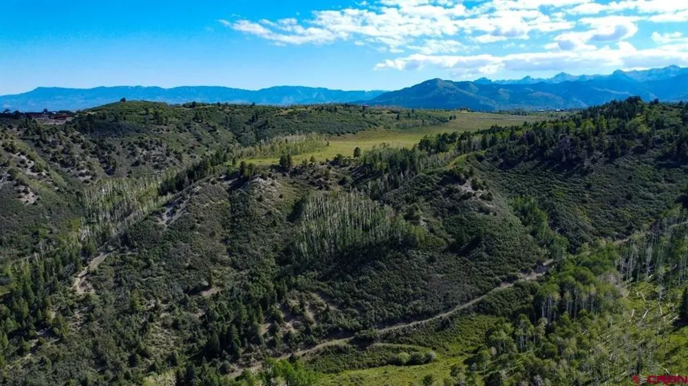 9757 County Road 5 Ridgway, CO 81432
