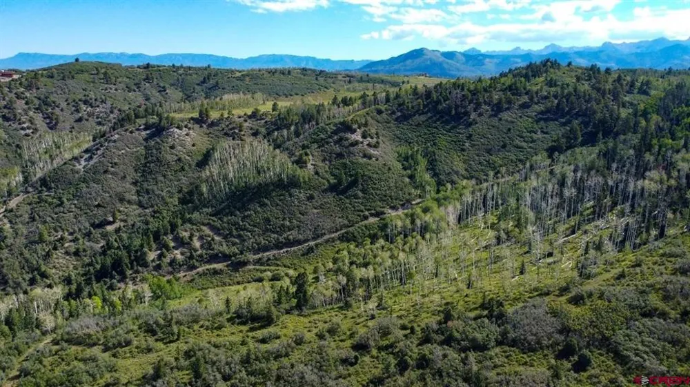 9757 County Road 5 Ridgway, CO 81432