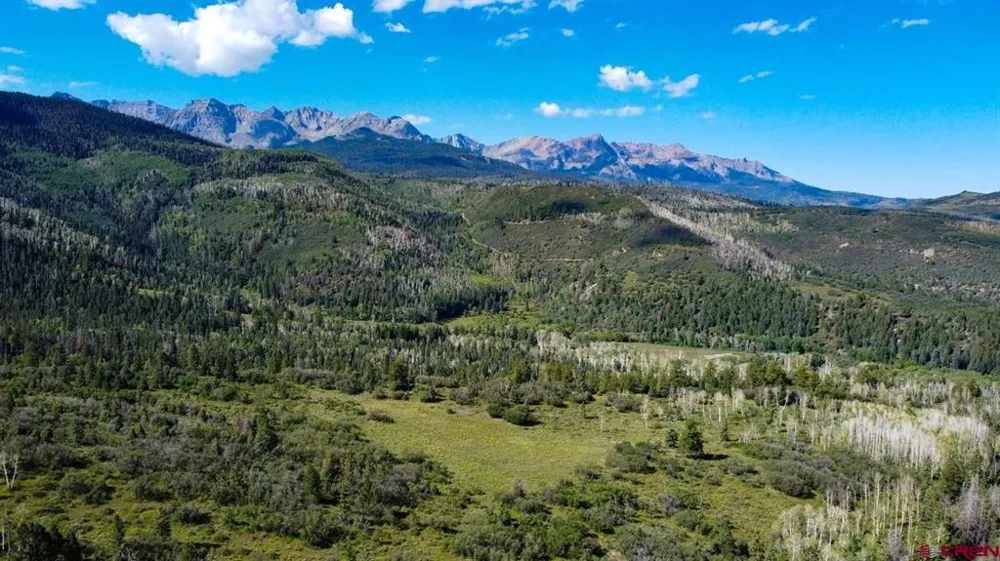 9757 County Road 5 Ridgway, CO 81432
