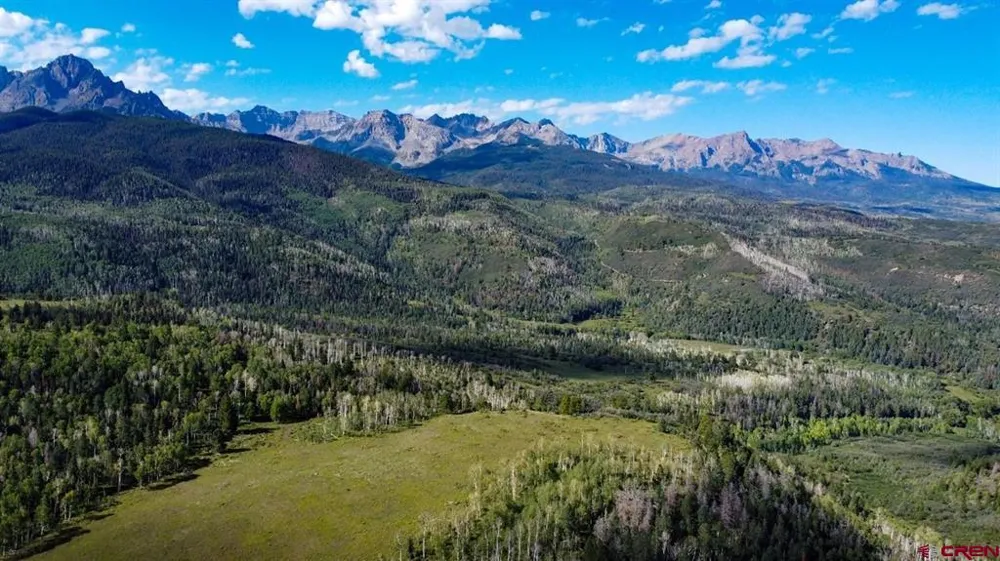 9757 County Road 5 Ridgway, CO 81432