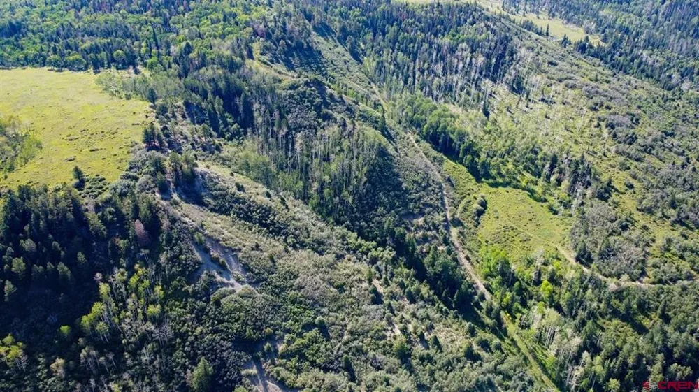 9757 County Road 5 Ridgway, CO 81432