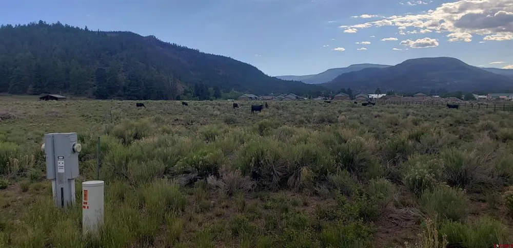 173 Willow Park Dr. South Fork, CO 81154