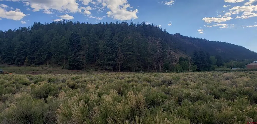 173 Willow Park Dr. South Fork, CO 81154