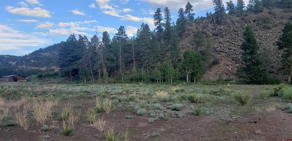 173 Willow Park Dr. South Fork, CO 81154
