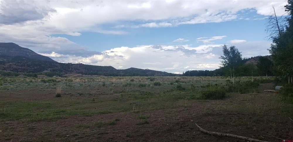 173 Willow Park Dr. South Fork, CO 81154